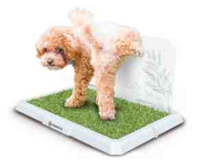 BANDEJA TONIPETS MACHO MINI 48X33CM